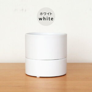 �J���[���I�ׂ�A�ؔ� ���[���� M�T�C�Y �� PP-0255-M 3�� ��M�t ���� �� �H���A�� �C���e���A ������� �ϗt�A�� plt