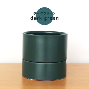 J[IׂAؔ [ LTCY  PP-0255-L 3.5 Mt   HA CeA  ϗtA plt