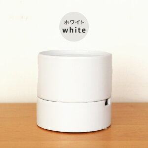 J[IׂAؔ [ LTCY  PP-0255-L 3.5 Mt   HA CeA  ϗtA plt