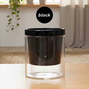 J[IׂAؔ  MTCY  PP-0256M 3 KX Mt   k͔| CeA  ϗtA plt