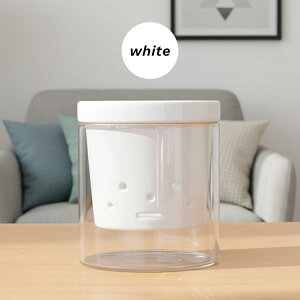 J[IׂAؔ  MTCY  PP-0256M 3 KX Mt   k͔| CeA  ϗtA plt