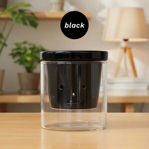 J[IׂAؔ  STCY  PP-0256S 2 KX Mt   k͔| CeA  ϗtA plt