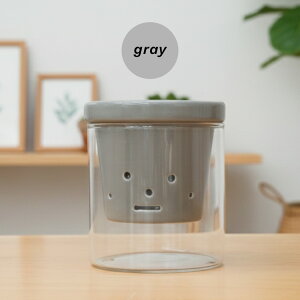 J[IׂAؔ  STCY  PP-0256S 2 KX Mt   k͔| CeA  ϗtA plt