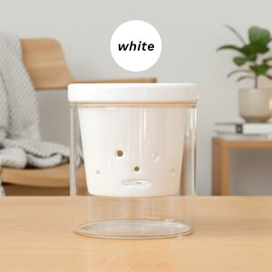 J[IׂAؔ  STCY  PP-0256S 2 KX Mt   k͔| CeA  ϗtA plt