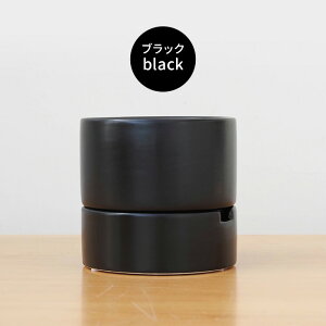 J[IׂAؔ [ MTCY  PP-0255-M 3 Mt   HA CeA  ϗtA plt