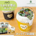 【MAiさん監修】 寄せ植え セット 多肉植物 ちまちま寄せ 送料無料 セダム 苗 鉢 数量限定