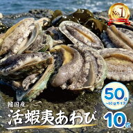活蝦夷あわび 10枚 50g-60g 活あわび 【送料無料】 蝦夷アワビ 活きアワビ 鮑 生 あわび 刺身用 あわびス…