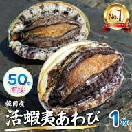 【お試し】 活蝦夷あわび 50g前後 1枚 【送料別】 アワビ 活き 刺身用 踊り焼き バターステーキ プチ贅沢…