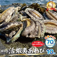 活蝦夷あわびМ（70/80g）10枚入【送料無料】 ご褒美 贅沢 グルメ 記念日 お取り寄せ ディナー パーティ …