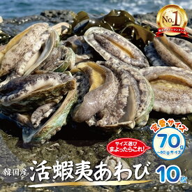 活蝦夷あわびМ（70/80g）10枚入【送料無料】 ご褒美 贅沢 グルメ 記念日 お取り寄せ ディナー パーティ 料理 メイン 豪華 お祝い 内祝い 誕生日 お中元 お歳暮 ギフト プレゼント バーベキュー 刺身 アワビ 鮑 高級 海鮮