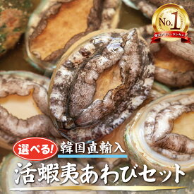 【 活き蝦夷あわびセット】お買い得 活あわび 刺身用 海鮮 贅沢 ご褒美 グルメ 母の日 父の日 お中元 お歳暮 BBQ ギフト プレゼント お取り寄せ　韓国産養殖