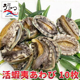 期間限定特価！活蝦夷あわびМ（70/80g）10枚入【送料無料】【お中元・お歳暮ギフト】