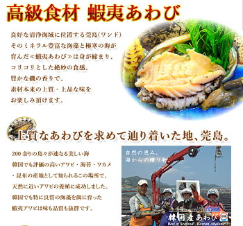 楽天市場 活蝦夷あわび 50 60g 5枚入ｂｂｑに お中元 お歳暮ギフトにも最適送料無料 活物専門商社 魚活 日本活魚