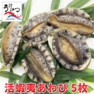 ڈ΂сi100/110gj5yz J ґ O LO  fBi[ p[eB  C  j j a  Ε Mtg v[g o[xL[ 