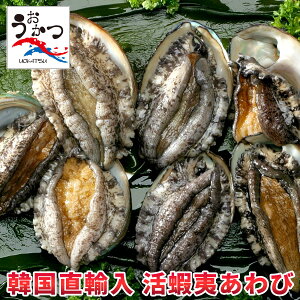 ڈ΂уZbgBBQɁI̓EEΕMtgɂœK