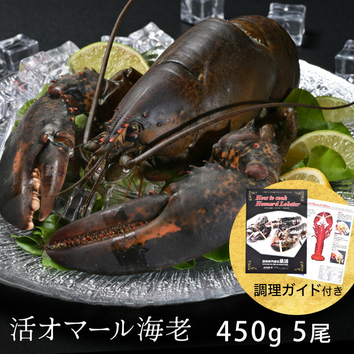 楽天市場】活オマール海老（450g）5尾入【送料無料】 えび ロブスター 