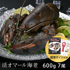 活オマール海老（特大600g）7尾入【送料無料】【敬老の日・お中元・お歳暮ギフト】えび ロブスター ご褒美 贅沢 グルメ 記念日 お取り寄せ ディナー パーティ 料理 メイン 豪華 食材 敬老の日 お中元 お歳暮 お祝い 誕生日
