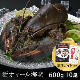 活オマール海老（特大600g）10尾入【送料無料】【お歳暮ギフト】えび ロブスター ご褒美 贅沢 グルメ 記念日 お取り寄せ ディナー パーティ 料理 メイン 豪華 食材 敬老の日 お中元 お歳暮 お祝い 内祝い 誕生日 ギフト