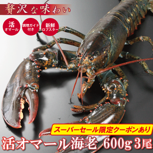 ロブスター」の人気商品一覧 | 安い商品を通販サイトから探す - 価格.com
