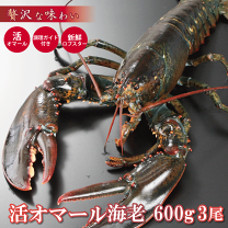 楽天市場】活き ロブスター 500gの通販