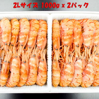 最高級品ボタン海老Lサイズ500g4P(計40〜48尾)お中元・お歳暮ギフトにも最適【送料無料】