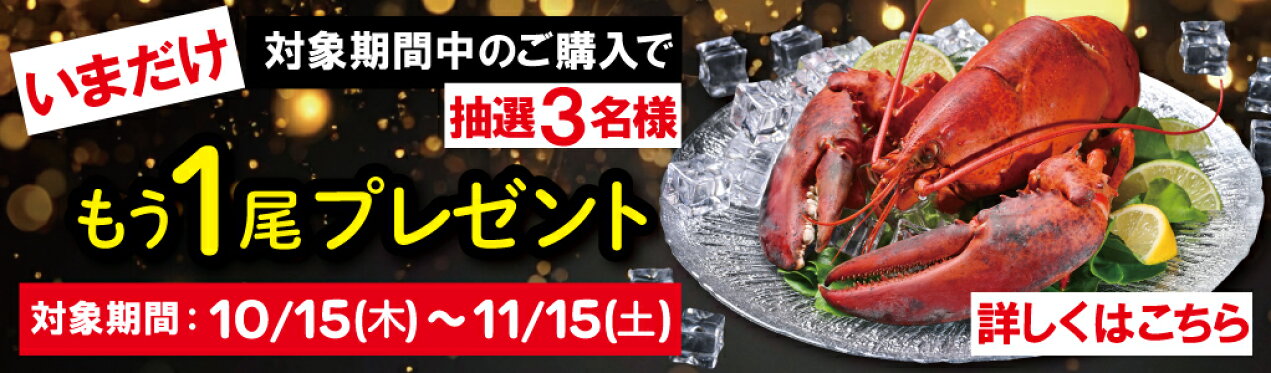 期間・数量限定！オマール海老もう1尾キャンペーン！