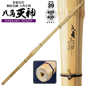  | SSPV[t  p pV_ 28 30 M-6 |N  l TCY lC  Ȃ Pi