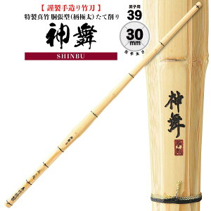  | SSPV[t ^| ^iɑjč _ TM-1 |N w  l TCY lC   Ȃ Pi