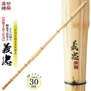  | SSPV[t ^| ^ɑȂȂߍ ` TM-2 |N w  l TCY lC   Ȃ Pi