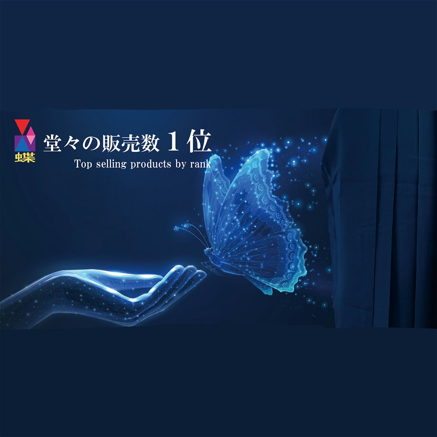 蝶 剣道着袴セット