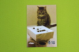 囲碁ステッカー第2弾「碁猫」　1．正面