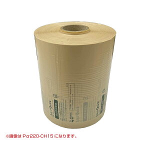 GA[ɏՍރGA[NCbNAt@pՕi6ZbgiĐ60%{oCI}X10%tBjP220-CBH15 | ɏՍ GA[pbL  GA[NbV |G` pi G