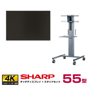 yZbgizV[v SHARP ^b`fBXvC4K BIG PAD 55^ PN-LM551 tAX^h PN-ZS651 | fW^TCl[W dqŔ tfBXvC ^b`pl 55C` tpl Ɩp j