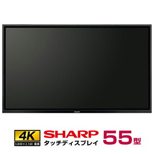 [J[݌ɗL V[v ^b`fBXvC4K BIG PAD55^ PN-LM551 { SHARP | fW^TCl[W tfBXvC ^b`pl 55C` tpl ItBX fBXv[ j^[ ^b`