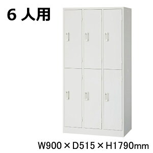  ZCR[ AKLbJ[ AKL-W6 (065705) zCg d47kg bJ[ o[VuL[ | Mdi 6lp pi t gbvWp t {bNX X`[bJ[ tbJ