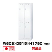 楽天市場】lkd ダイヤルロッカー 生興の通販