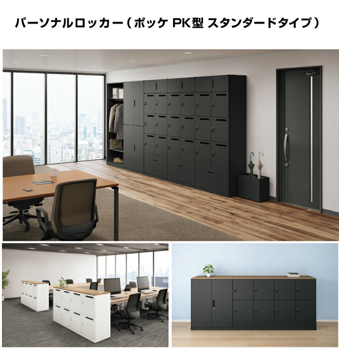 楽天市場】NAIKI ナイキ パーソナルロッカー 6人用 下段ファイル付 PK 