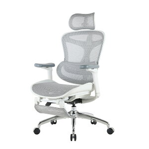 SIHOO �V�z�[ �I�t�B�X�`�F�A DORO C300 | �l�̍H�w �f�X�N�`�F�A �t�b�g���X�g 3D�w�b�h���X�g 4D�A�[�����X�g���N���C�j���O ���[�N�`�F�A �r�W�l�X�`�F�A �p�\�R���`�F�A �֎q �C�X �`�F�A�[ 