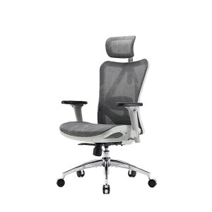 SIHOO �V�z�[ �I�t�B�X�`�F�A M57 | �l�̍H�w �f�X�N�`�F�A 3D�w�b�h���X�g 3D�A�[�����X�g���[�N�`�F�A �r�W�l�X�`�F�A �p�\�R���`�F�A �֎q �C�X ���� �`�F�A�[ �I�t�B�X �d�� �I�t�B�X�`�F�A