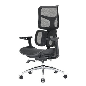 SIHOO �V�z�[ �I�t�B�X�`�F�A DORO S100 | �l�̍H�w �f�X�N�`�F�A ��̎��w�b�h���X�g 6D�A�[�����X�g���[�N�`�F�A �r�W�l�X�`�F�A �p�\�R���`�F�A �֎q �C�X ���� �`�F�A�[ �I�t�B�X �d�� �I�t�B