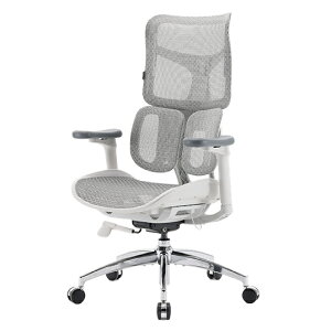 SIHOO �V�z�[ �I�t�B�X�`�F�A DORO S100 | �l�̍H�w �f�X�N�`�F�A ��̎��w�b�h���X�g 6D�A�[�����X�g���[�N�`�F�A �r�W�l�X�`�F�A �p�\�R���`�F�A �֎q �C�X ���� �`�F�A�[ �I�t�B�X �d�� �I�t�B