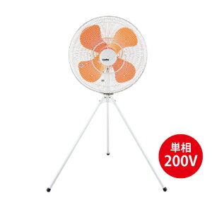 ySSԒ P2{zyԏnzXCf XCf SF-45MS-2VP H X^_[h^Cv(nlFvX`bN) P200V (d:10.4kg) | Ɩp@ ^@ T[L[^[ MǑ΍ su
