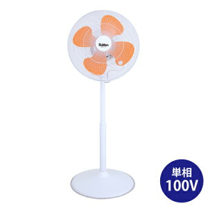 yԏnzXCf SF-45VF-1VP2 H t~St@(nlFvX`bN) P100V (d:11kg) | Ɩp@ ^@ T[L[^[ MǑ΍ suiden Ɩp Ɩ @ 
