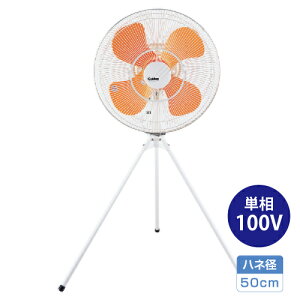 yԏnzXCf XCf SF-50FS-1VP H X^h^Cv(nlFvX`bN) P100V (d:13.1kg) | Ɩp@ ^@ T[L[^[ MǑ΍ suiden Ɩp Ɩ 