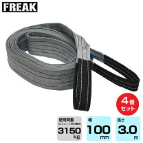 楽天市場】ナイロンスリング 100mm 3mの通販