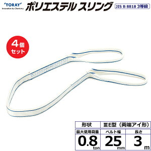 y܂Ƃߔz4Zbg C^[iVi |GXeXO PET3E [AC` 0.8ton 25mm 3m (40773)| gbN ݋ XOxg ג݂xg [v ^ ʊ| ז ݂