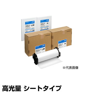 xmtC OʕztB UVXP[H V[g^Cv UVSCALE-H-US ʌ (270mm×200mmi5j) | FUJI FILM FZx  ȒP    ሳ  v ^ n