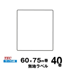 TEC(テック)純正 KP-20/KP-30 標準ラベル 10019041691 サーマル紙 サイズ 幅60mm×送り75mm 入り数 40巻 375 枚/巻 | 事務用品 事務 オフィス用品 業務用 業務用品 店舗 ラベル リフィル ラベルプリンター ラベルプリンタ |