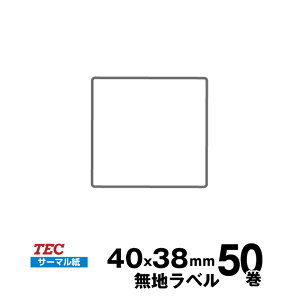 TEC(ebN) KP-20/KP-30 Wx 10019041664 T[} TCY 40mm×38mm 萔 50 730 / | pi  ItBXpi Ɩp Ɩpi X x tB xv^[ 