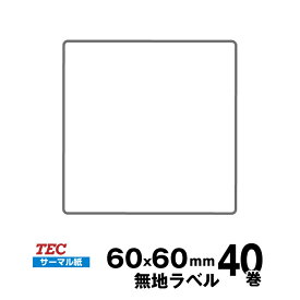 TEC(テック)純正 KP-20/KP-30 標準ラベル 10019041690 サーマル紙 サイズ 幅60mm×送り60mm 入り数 40巻 470 枚/巻 | 事務用品 事務 オフィス用品 業務用 業務用品 店舗 ラベル リフィル ラベルプリンター ラベルプリンタ |